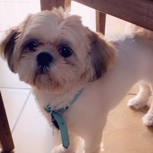 Meet your Posher, Jkrl